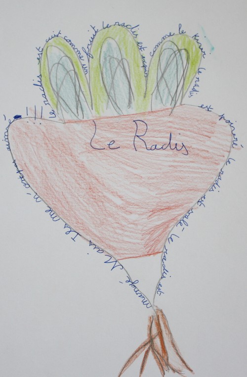 Le radis