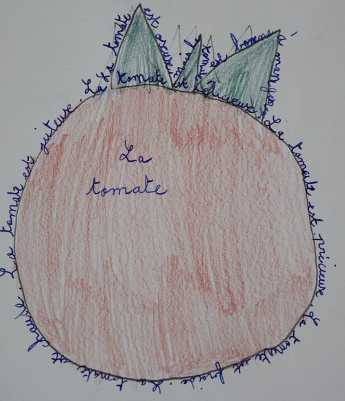 La tomate