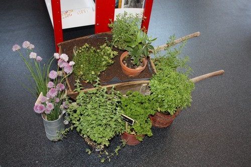 Les plantes aromatiques