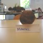Manuel