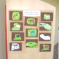 Exposition
