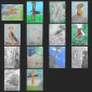 Planche Contact-3