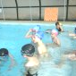 piscine 2