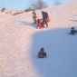 Luge