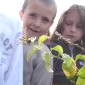 Libération des nos coccinelles par Margaux et Axelle