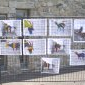 Exposition