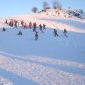 Luge