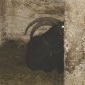 Le bouc