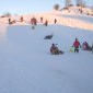 Luge
