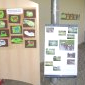 Exposition