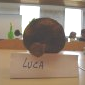 Luca